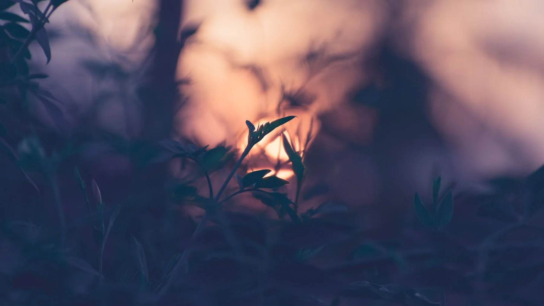 Друзья, которые отпали