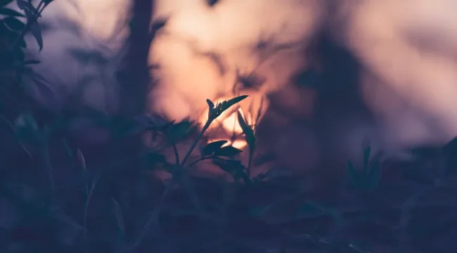 Друзья, которые отпали