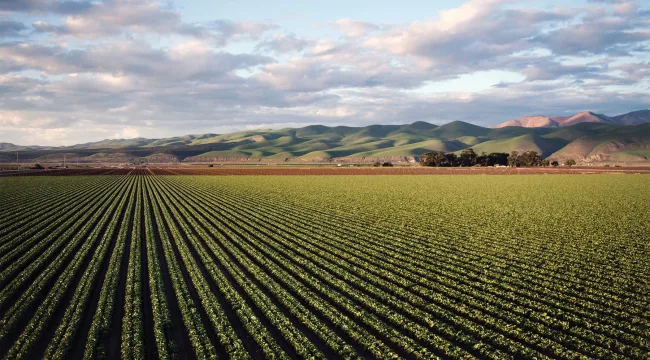Не жните до краев своей жизни