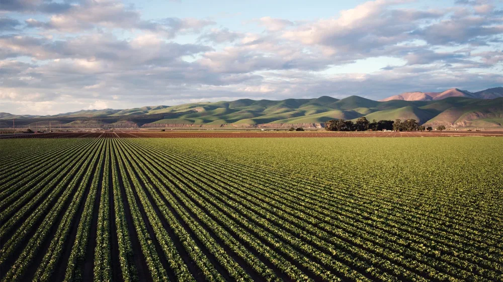 Не жните до краев своей жизни