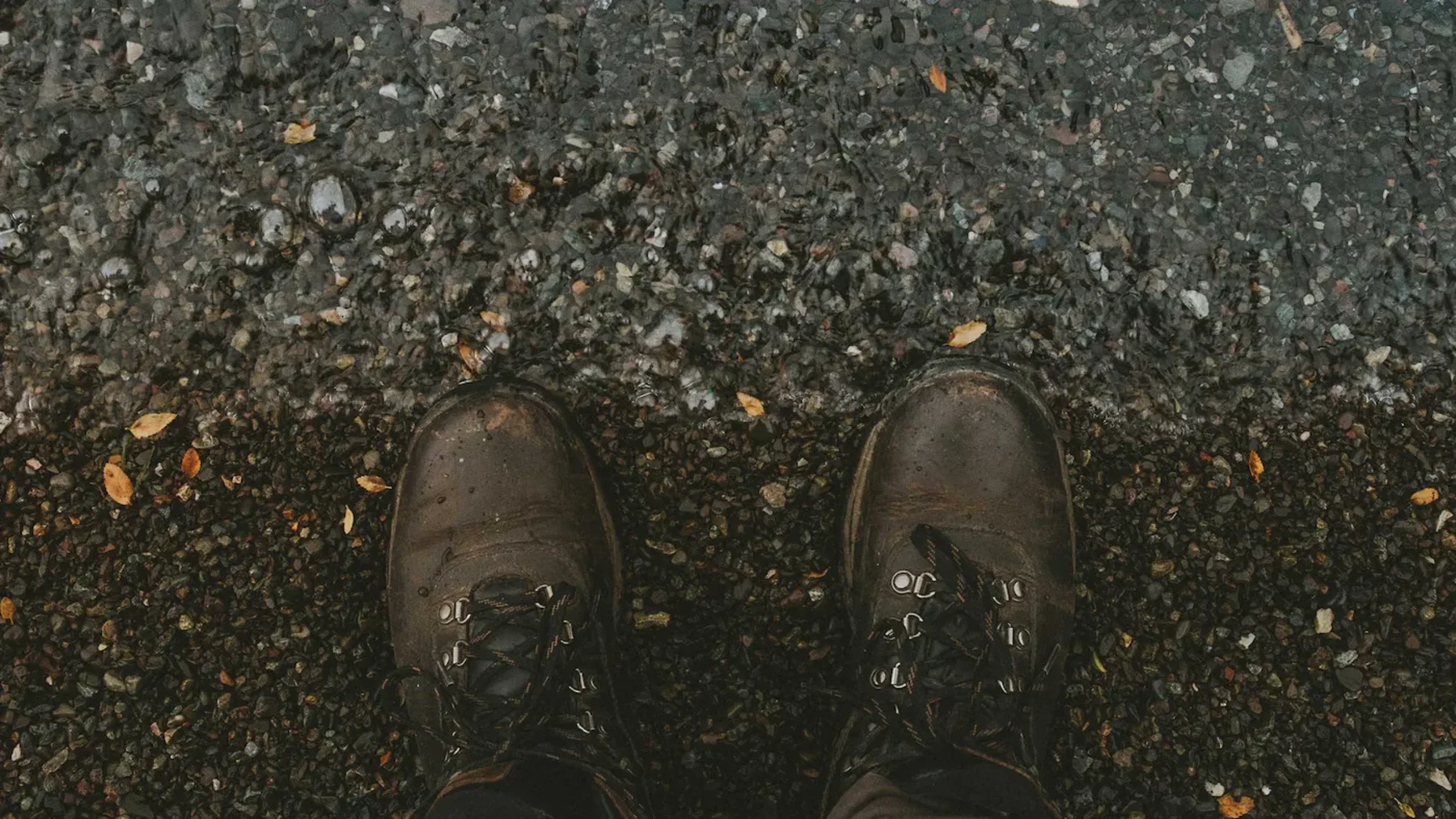 Что сделает вас стойким?