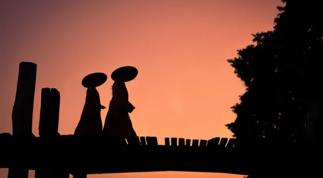 Шесть лет, ни одного обращения