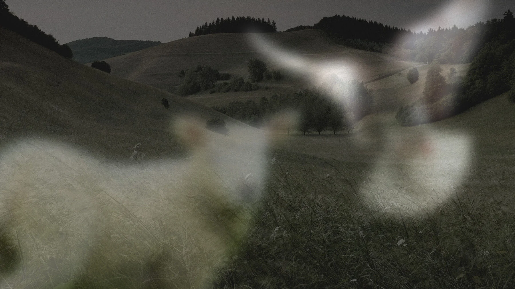 Радикальная христианская кротость в эпоху аддиктивного гнева