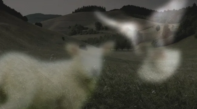 Радикальная христианская кротость в эпоху аддиктивного гнева