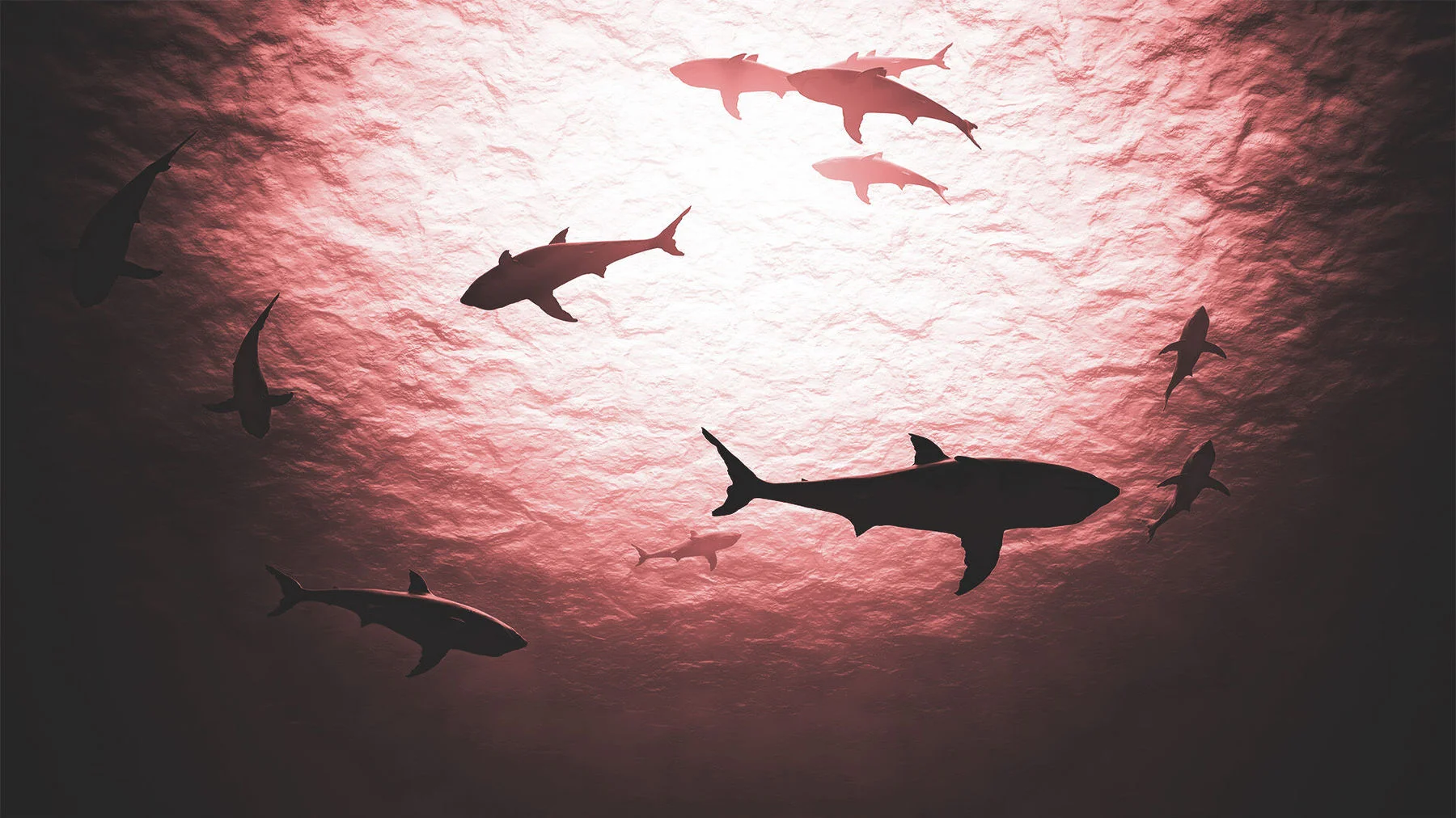 Найти утешение в отмщении