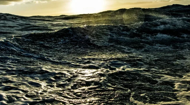 Спи как царь