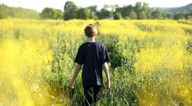 Нерушимый дом