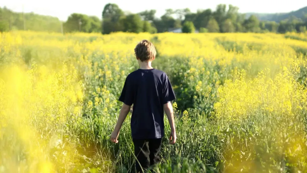 Нерушимый дом