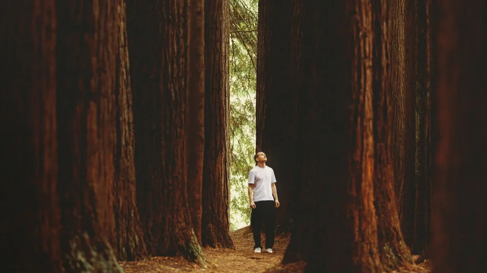 Хотите стать богословом получше?