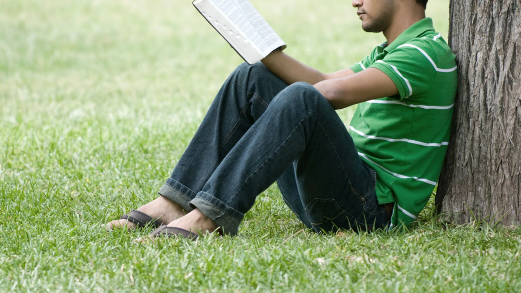 Продолжайте читать Библию, даже если вы ее не понимаете