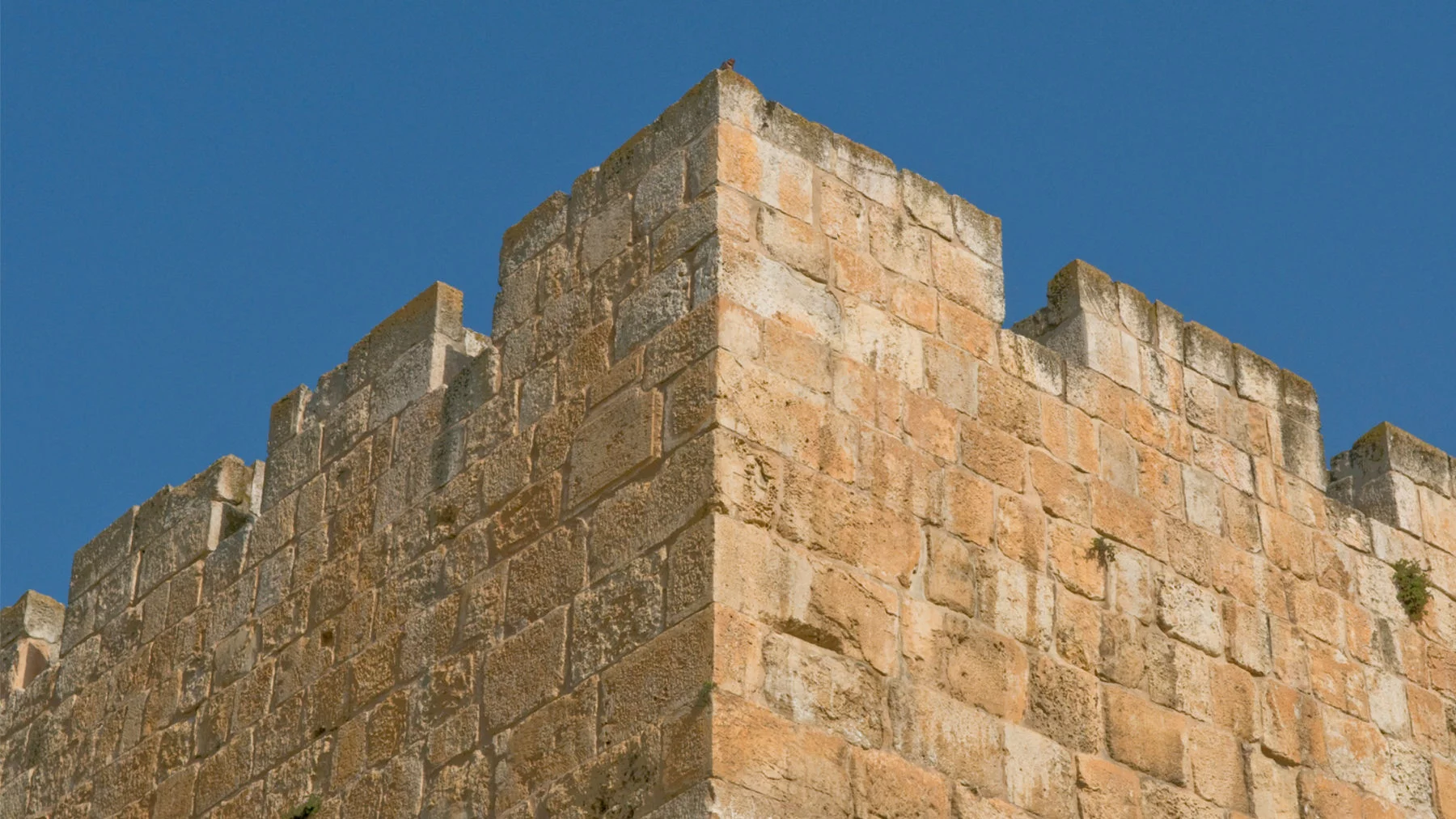 Почему Соломон просил мудрости, и почему нужно следовать его примеру?