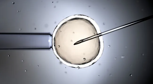 ЭКО: этические вопросы