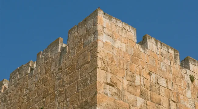 Почему Соломон просил мудрости, и почему нужно следовать его примеру?