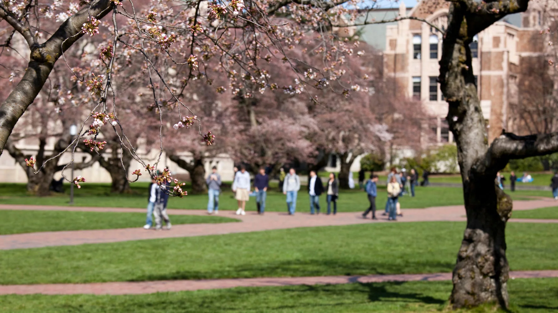 Студенты светских вузов находят обычное христианство убедительным