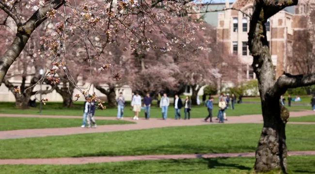 Студенты светских вузов находят обычное христианство убедительным