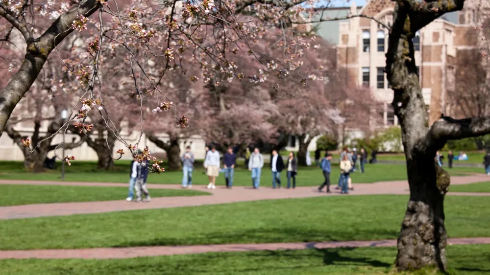 Студенты светских вузов находят обычное христианство убедительным