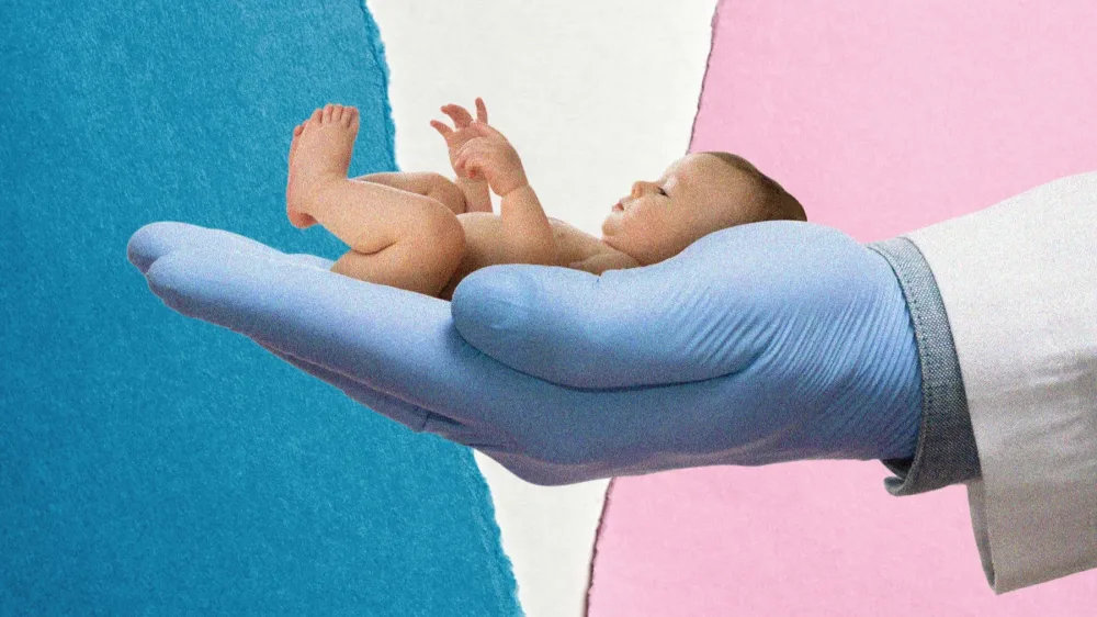 Суррогатное материнство