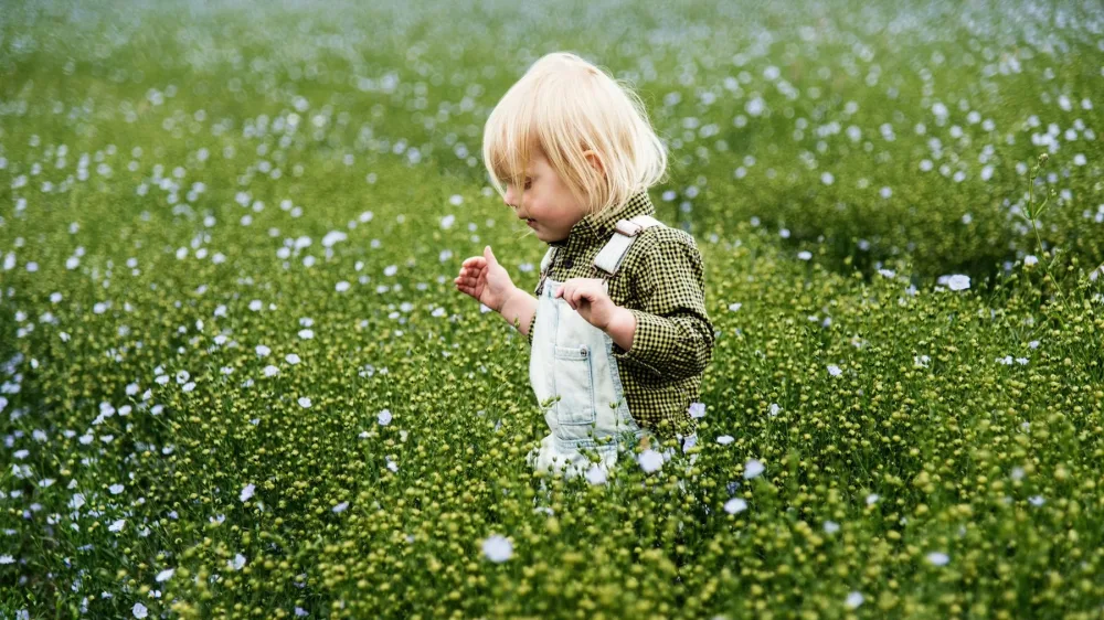 Где найти свое счастливое место