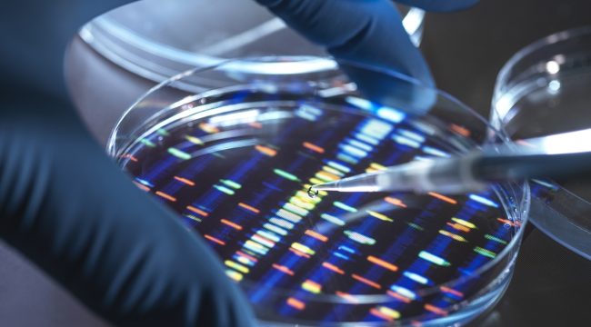 Создание «супер»-человека: благо или путь к катастрофе?