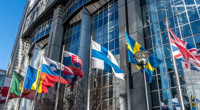 Евросоюз призвали запретить суррогатное материнство после доклада ООН