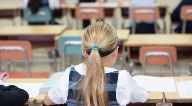 ACLU и SPLC подали в суд на Теннесси из-за закона о школьных ваучерах на $7000