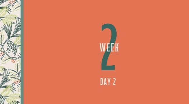 Эти темные дни: Как найти свет в сезон адвента