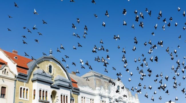 Воля Божья — это место