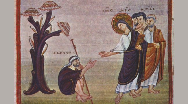 Верность Богу или путь компромисса: литургические чтения на 17 ноября