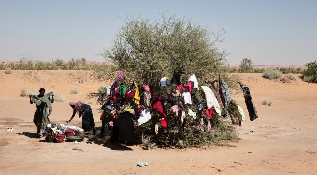 Amnesty International сообщает о зверствах боевиков ССО в суданском Эль-Фашире