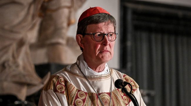 Кардинал Вельки: Собственный университет епархии — это «инвестиция в будущее»