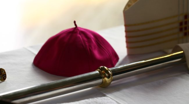 Папа Лев XIV назначил нового вспомогательного епископа для Хильдесхаймской епархии