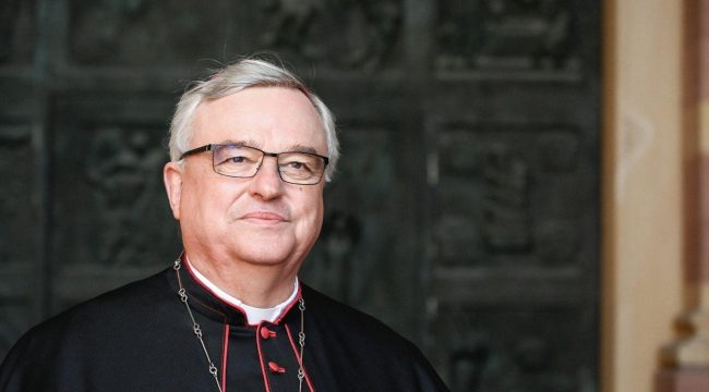 Виземанн о синодальном комитете: Созданы обязательные для исполнения структуры