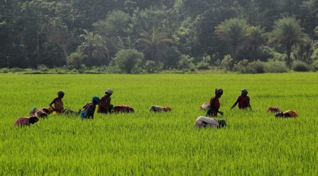 Пастор против притеснений в Индии: как вера привела к распространению христианства