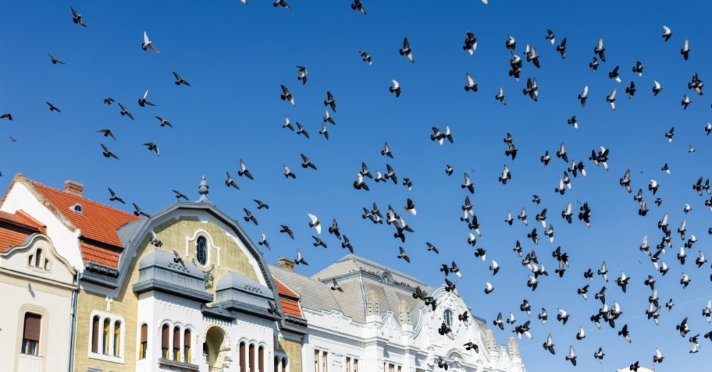 Воля Божья — это место