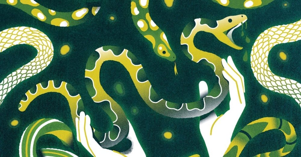 Брать змей в руки и пустить корни