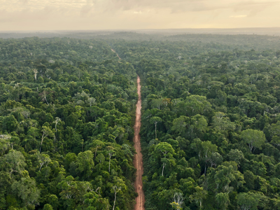 COP 30 в Амазонии: стартуют одни из самых сложных климатических переговоров в истории