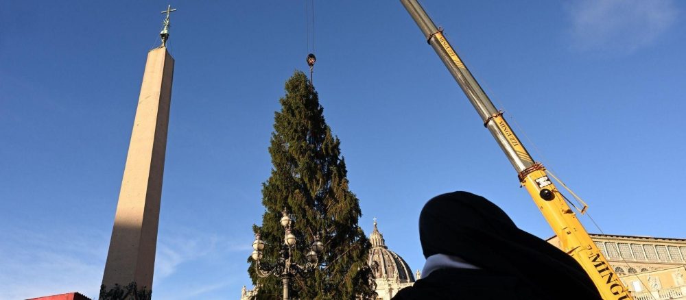 Рождественская ель из Южного Тироля установлена в Ватикане