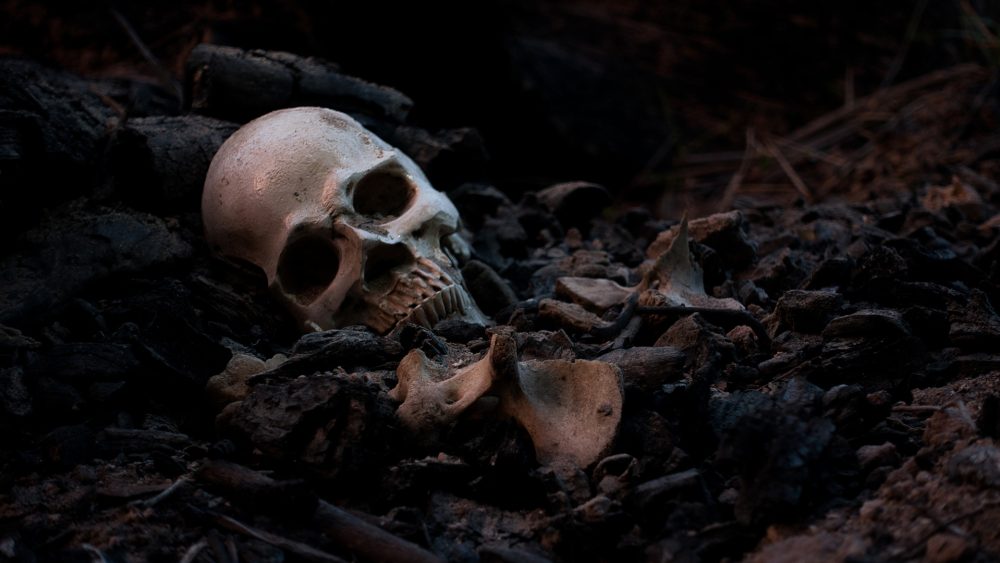 Череп возвращается домой: необычная посылка в собор Святого Стефана