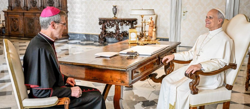 Папа Лев XIV принял епископа Вильмера вслед за встречей с епископом Майером
