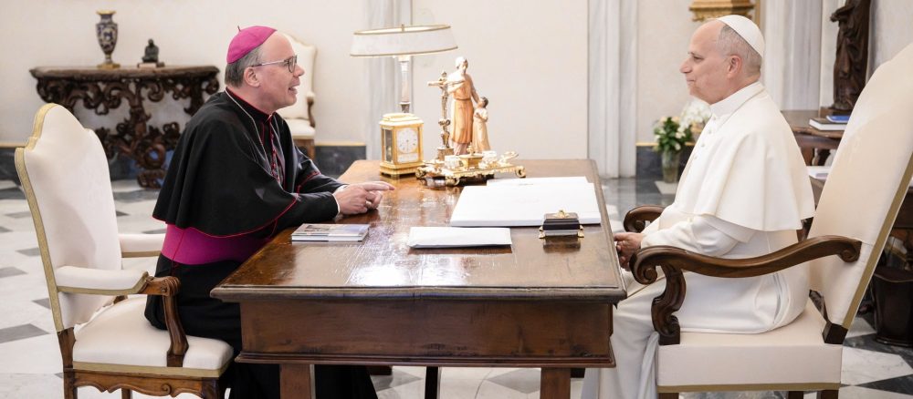 Папа Лев XIV принял аудиенцию у епископа Аккермана в Ватикане