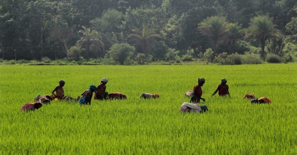 Пастор против притеснений в Индии: как вера привела к распространению христианства