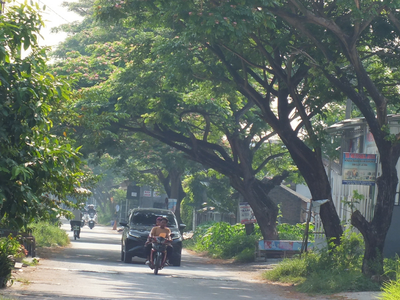 В Индонезии 76-летняя женщина преодолевает 20 км до церкви каждое воскресенье