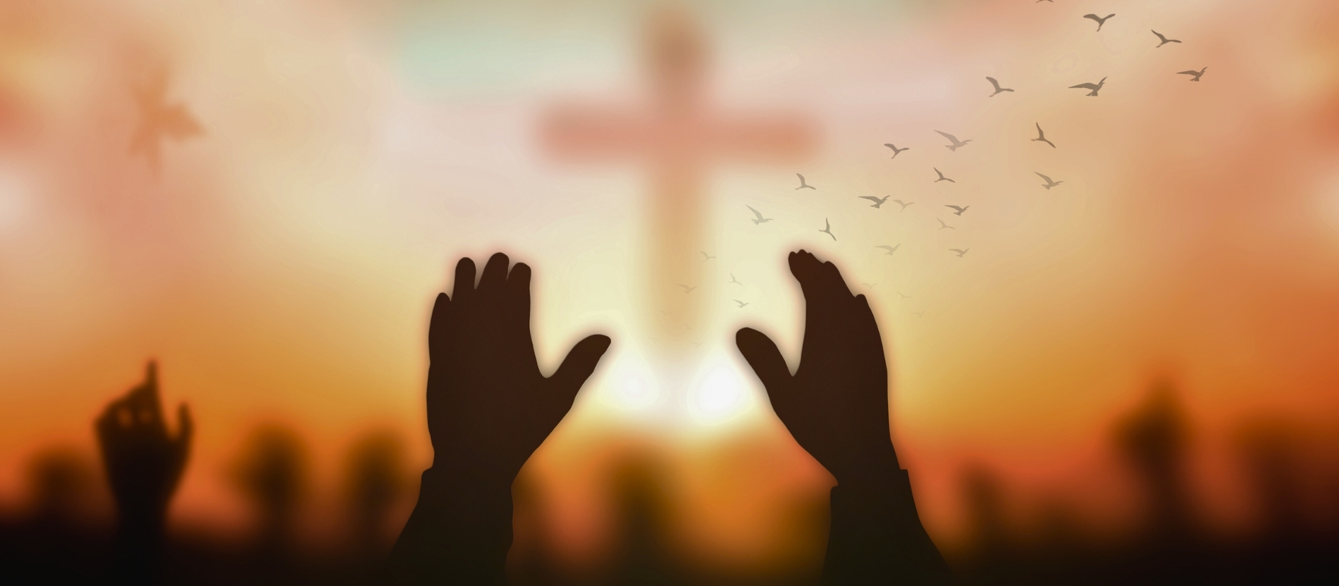 Конференция католических епископов Германии запустила информационный портал о духовных сообществах