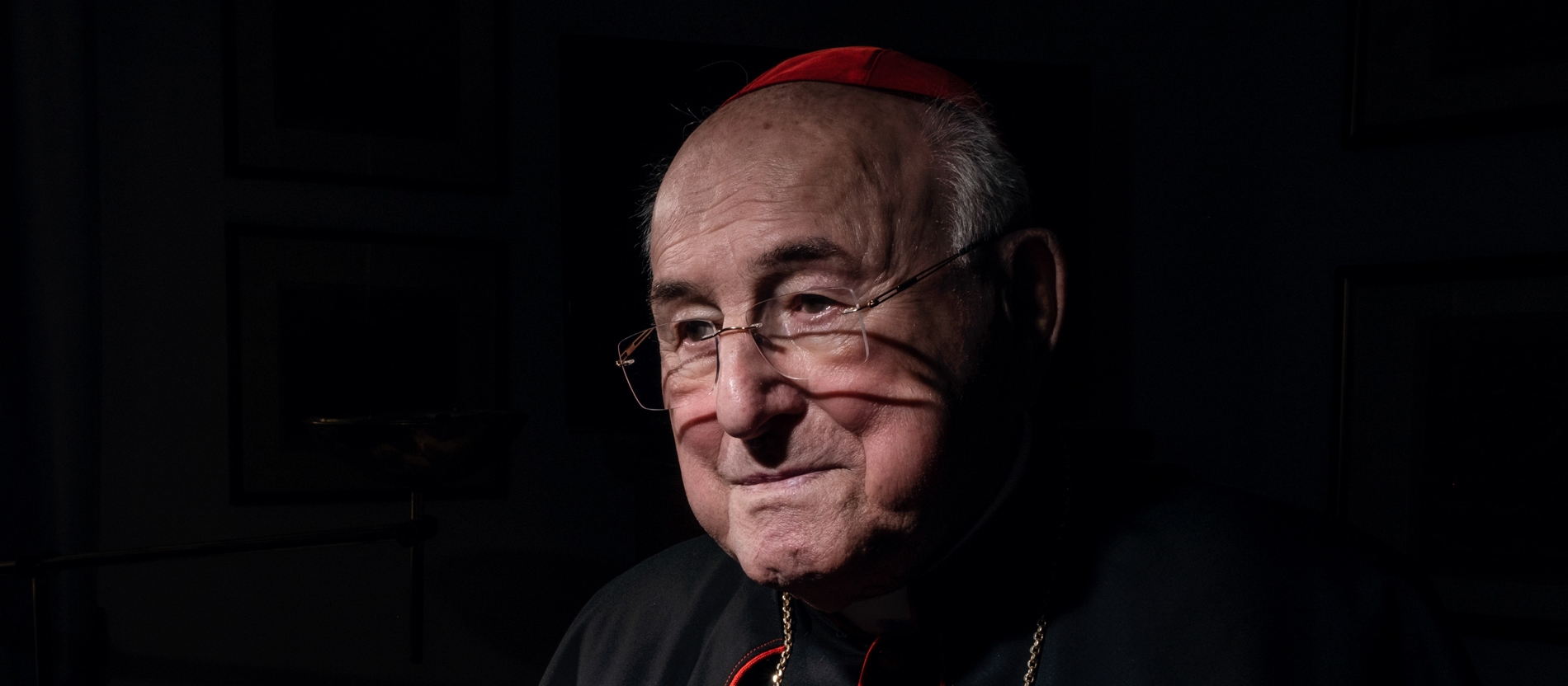 Кардинал Брандмюллер: О новом Вселенском соборе говорить еще слишком рано