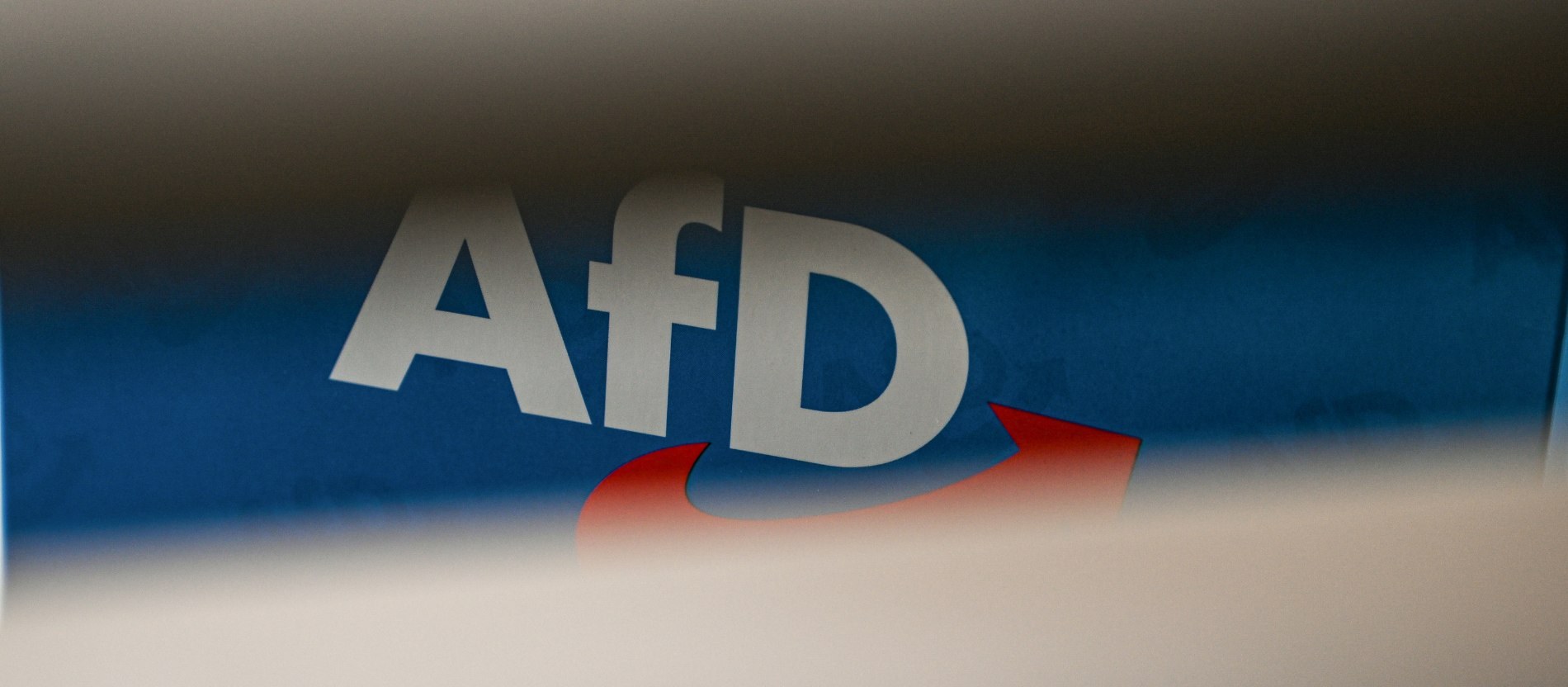 Католический союз «Кольпинг» запретил членство в AfD