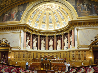 Сенат Франции рассмотрит закон о конце жизни с 12 января