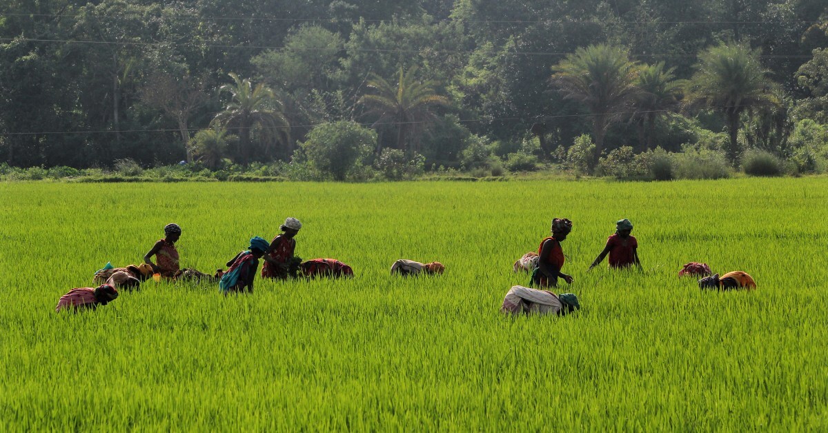 Пастор против притеснений в Индии: как вера привела к распространению христианства