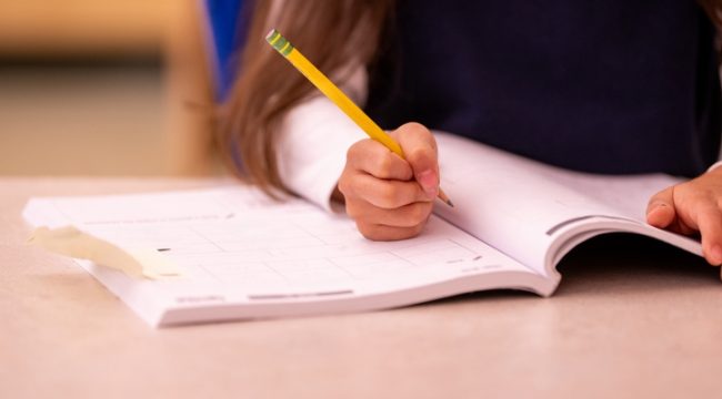 Эксперты призывают вернуть классическое либеральное образование для развития целостной личности