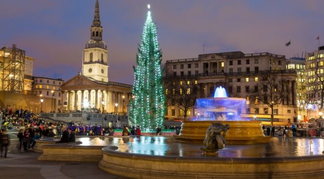 Рождественская ель на Трафальгарской площади: история дружбы, веры и мира, уходящая корнями во Вторую мировую войну