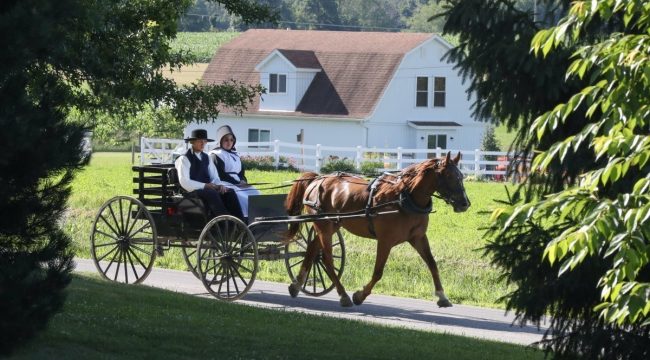 Верховный суд США возобновил иск амишей против обязательной вакцинации школьников в Нью-Йорке